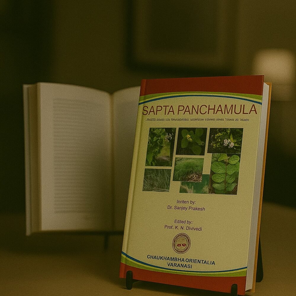 Sapta Panchamula